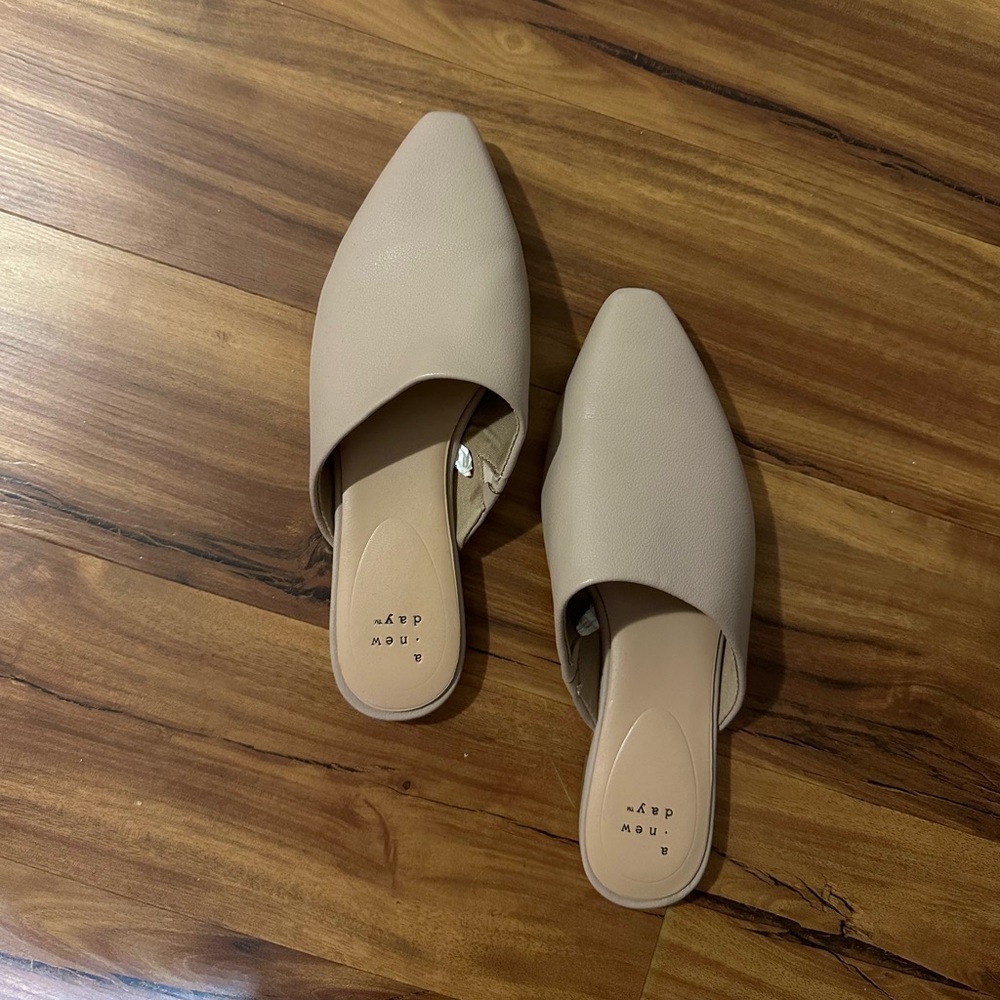 A new day mule